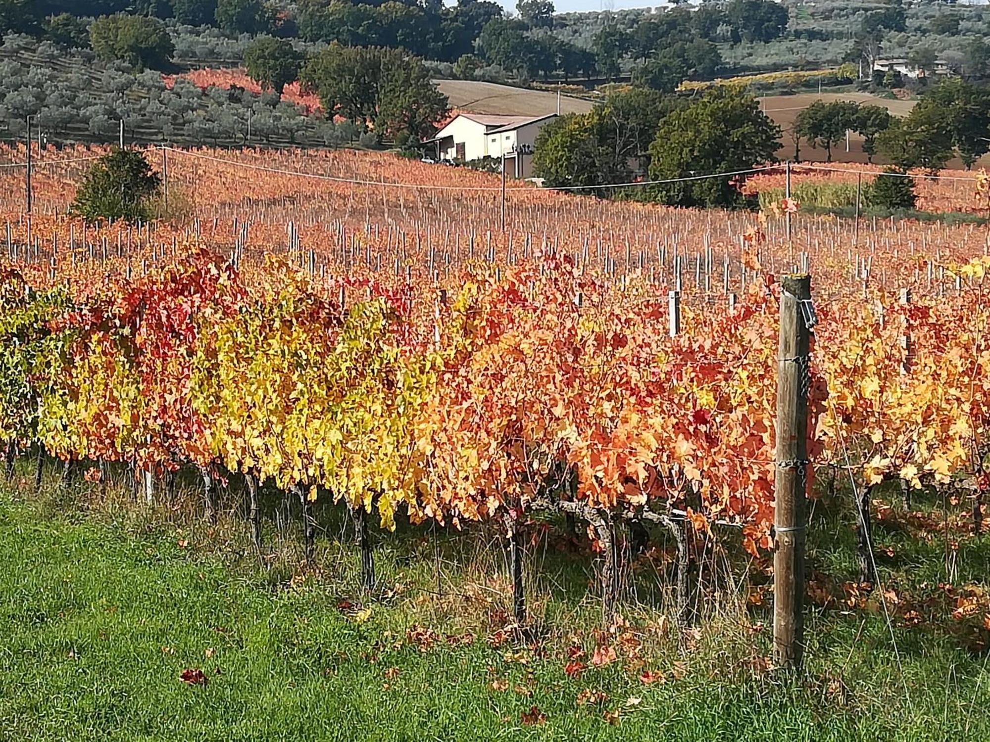 Antico Gioiello Umbro , Appartamento Con Terrazza Foligno Ngoại thất bức ảnh